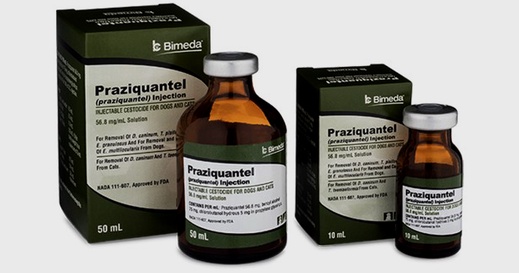 Praziquantel generico